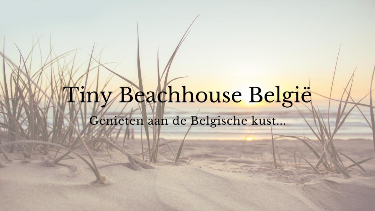 Tiny Beachhouse Belgium, Wenduine Hotell Exteriör bild