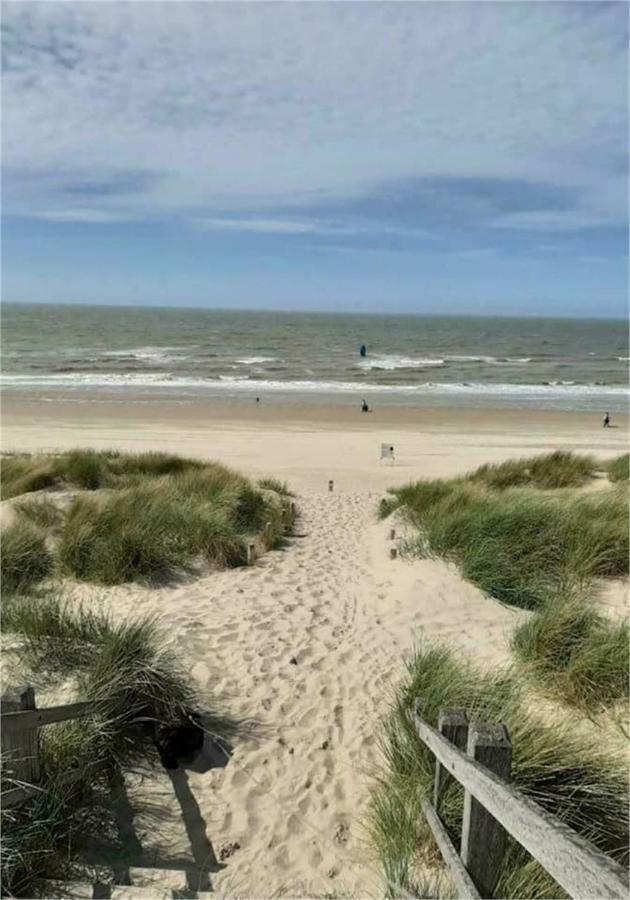Tiny Beachhouse Belgium, Wenduine Hotell Exteriör bild